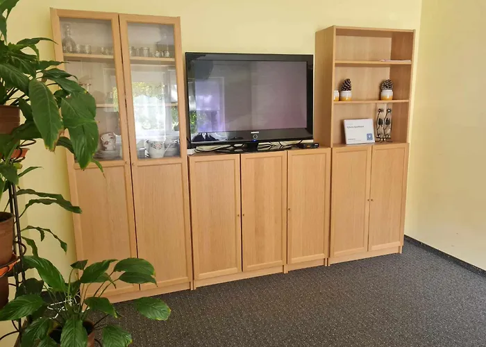 Vyturio Apartmentai Апартаменты