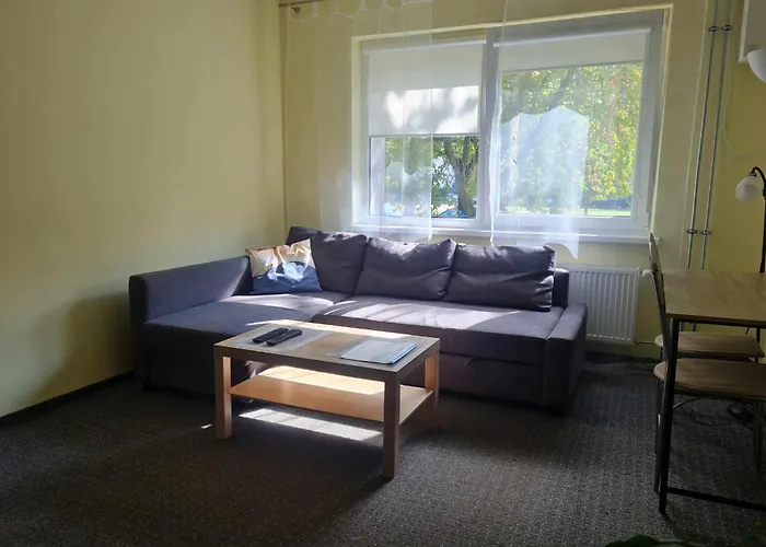 Апартаменты Vyturio Apartmentai *